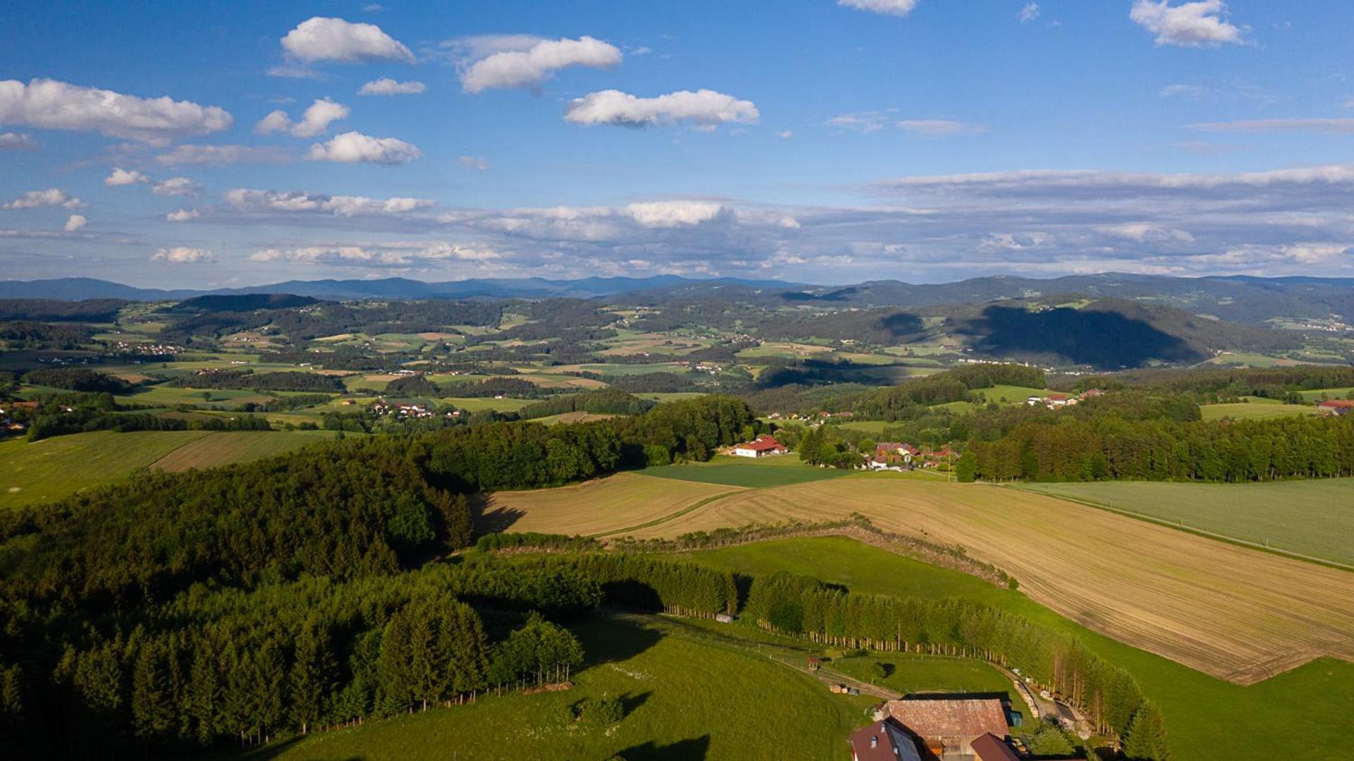Ferienwohnung „Rose“ Wiesenfelden Zewnętrze zdjęcie
